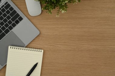 Dizüstü bilgisayarın, not defterinin, farenin ve saksı bitkisinin en üst görünümü ahşap masa üzerinde.