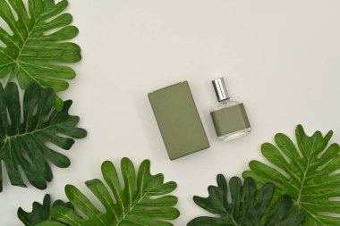  Boş ambalaj kutusuyla kare parfüm şişesi ve beyaz arka planda tropik yapraklar..