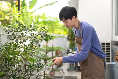 Happy young asian man in apron watering plants from hose at the backyard. Gardening hobby concept.