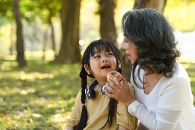 Smiling middle aged grandma and little preschooler child relaxing int he park. concept. Family, generation and people concept.