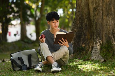 Peaceful asian man reading book on green grass with sunlight from a sunset shining through tree branch.
