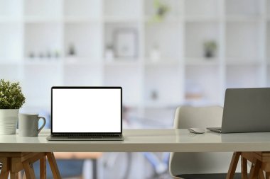 Front view of laptop computers, cup of coffee and potted plant on white office desk. Blank screen for your advertise design.