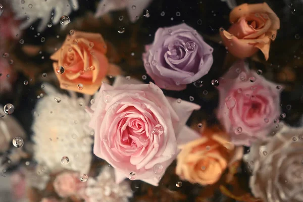 Plenty soft color roses under transparent glass with condensation drops texture. Textiles, paper and floral botanical wallpaper.