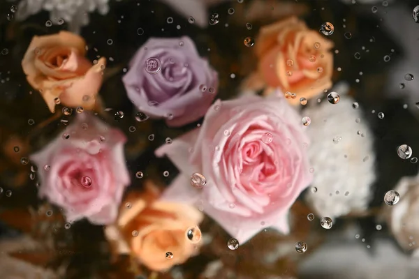 Bouquet of pink and orange roses under transparent blurred foggy glass. Textiles, paper and floral botanical wallpaper.