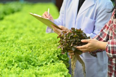 Biotechnologist writing on clipboard while working on research at plantation in industrial hydroponic greenhouse.