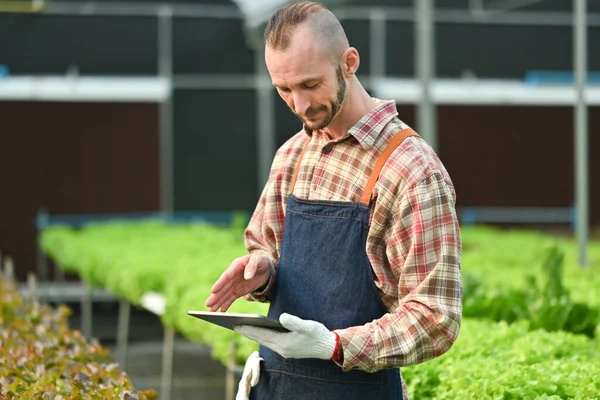 Smart Farmer Using Digital Tablet Examining Inspecting Quality Control Organic —  Fotos de Stock