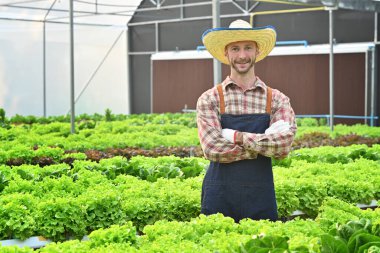 Successful organic farmer standing cross arms in hydroponic greenhouse and smiling to camera. Agriculture business concept.