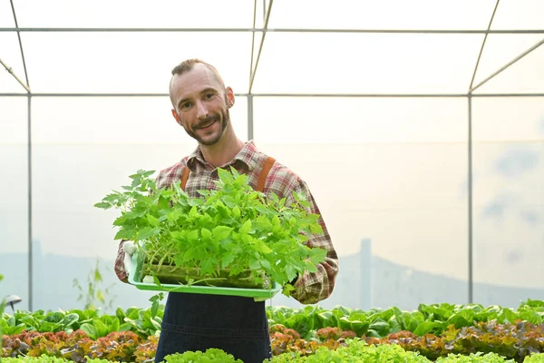 Retrato Cultivador Alimentos Orgánicos Masculinos Caucásicos Sosteniendo Cajón Plántulas Listo —  Fotos de Stock