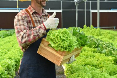 Elinde organik sebzelerle gülümseyen erkek çiftçi. Hasat, bahçıvanlık ve iş tarım kavramı.