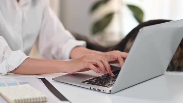 Feche Jovem Mulher Trabalhando Laptop Digitando Mail Comunicando Com Clientes — Vídeo de Stock
