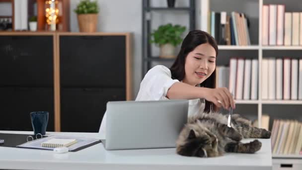 一个快乐的年轻女人在离家很远的地方工作时玩猫 家庭和友谊概念 — 图库视频影像