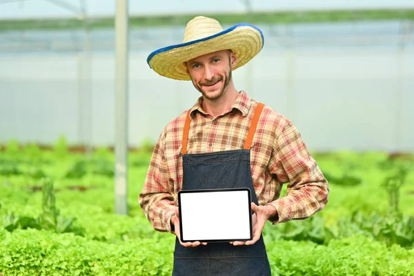 温室内に空白の画面が立っている有機農家の笑顔デジタルタブレットを保持しています スマート農業と現代技術 — ストック写真