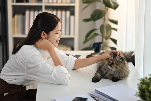 Happy millennial woman sitting at home office desk and playing with lovely fluffy cat. Love, domestic pet concept.