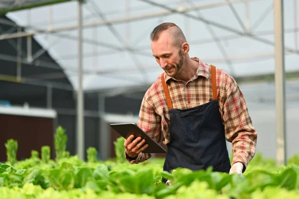 Propietario Pequeña Empresa Agricultor Analizando Datos Agrícolas Tableta Digital Tecnología —  Fotos de Stock