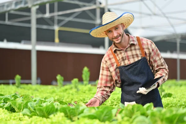 Agricultor Con Tableta Digital Que Comprueba Crecimiento Sostenible Agricultura Progreso —  Fotos de Stock