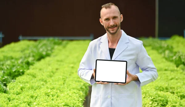 Retrato Del Investigador Agrícola Mostrando Tableta Digital Pie Invernadero Pantalla —  Fotos de Stock