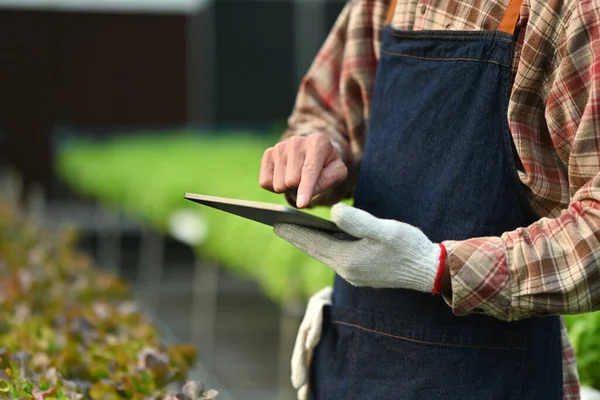Cropped shot of farmer analyzing farming data on digital tablet at hydroponic greenhouse. Innovation technology concept.
