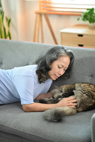 可爱的中年人在家里的沙发上放松 和可爱的绒毛猫玩耍 家庭宠物观念 — 图库照片