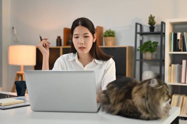 Evcil kedisi masada, ev ofisinde çalışan genç bir kadın. Yüksek kalite fotoğraf