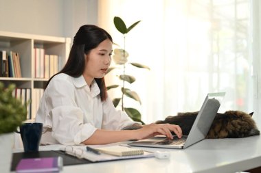 Laptop kullanan çekici Asyalı kadın, modern ev ofisinde pazarlama projeleriyle çalışıyor..