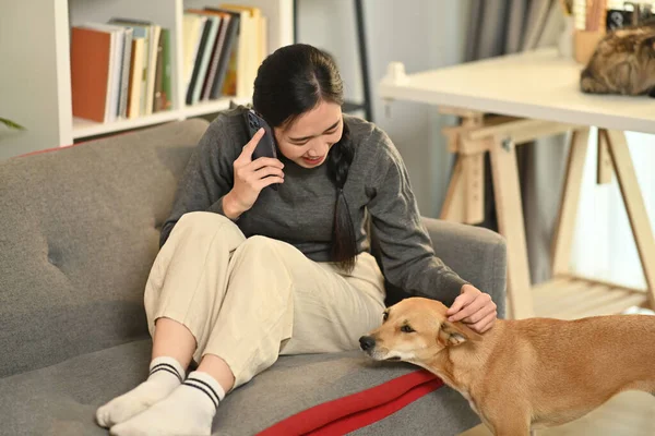 Boldog Fiatal Beszél Mobilján Simogatja Kedves Kutyáját Barátság Kapcsolatok Legjobb — Stock Fotó