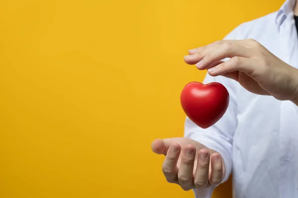 黄色の背景に赤いハートを覆う白い制服を着た医師心臓学 寄付と医療の概念 — ストック写真