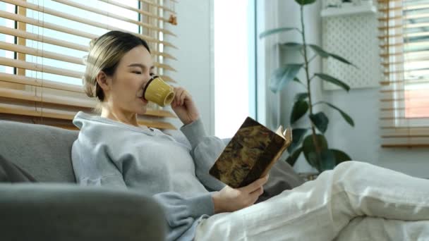 대여성 소파에 커피를 마시고 읽으면서 — 비디오