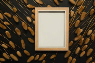 Boş ahşap çerçeve. Kurumuş tavşan kuyruğu siyah arka planda çimenler..