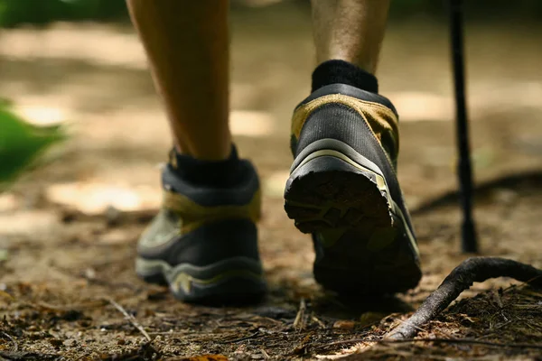 Yürüyüş çubukları olan erkek yürüyüşçü dağ yolunda dik tırmanıyor. Seyahat, macera ve aktif yaşam konsepti.