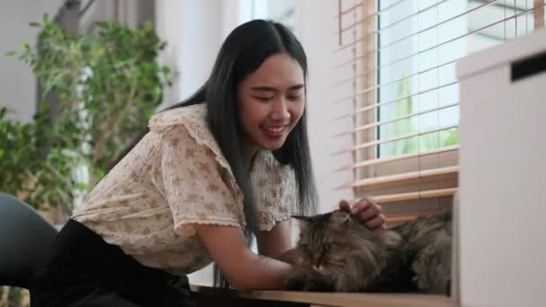 거실에서 그녀의 부드러운 고양이와 라이프 스타일 — 비디오