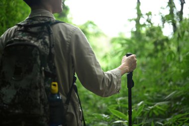 Sırt çantasıyla ormanda doğa keşfi yapan çekici bir bayan yürüyüşçü. Seyahat, yürüyüş ve macera konsepti.