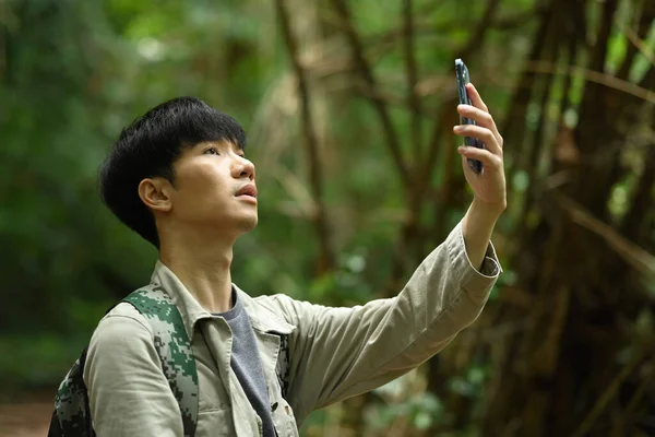 Male explorer looking for connection to the internet or using gps navigator app on smartphone in green forest.