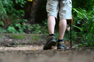 Orman yolunda yürüyen yürüyüş çubukları olan bir erkek yürüyüşçü. Seyahat ve macera konsepti.