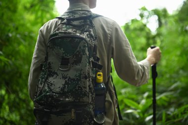 Sırt çantalı ve yürüyüş çubuklarıyla ormanda yürüyüş yapan turistin arka görüntüsü. Seyahat, macera ve aktif yaşam konsepti.