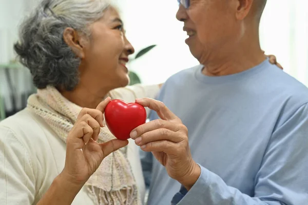 Kırmızı Kalp Şeklindeki Mutlu Yaşlı Çift Sağlık Aşk Sigortayı Simgeliyor — Stok fotoğraf