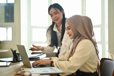 Ofisteki meslektaşımla proje üzerinde çalışırken dizüstü bilgisayar kullanan çekici Müslüman kadın..