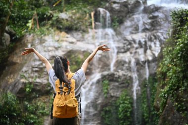 Sırt çantalı, kollarını kaldırmış, güzel tropikal şelalenin keyfini çıkaran mutlu kadın gezginin arka görüntüsü..