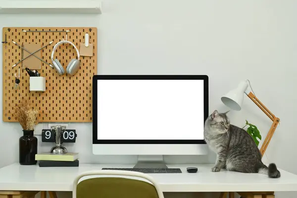 A tabby cat sitting near bank screen of desktop computer on white desk in home office.
