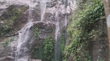 Tropikal ormandaki güzel şelaleyi yukarı kaldır. Seyahat hedefi.