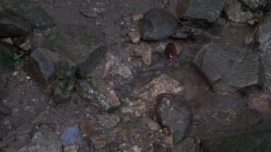 Görüş alanının üstünde kayaların arasından ağır çekimde akan temiz akıntı..