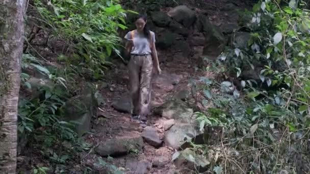 Jeune Touriste Femme Marchant Sur Route Terre Tropicale Dans Forêt — Video