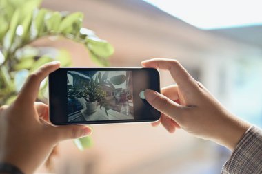 Cep telefonu kullanan bir kadın şehrin güneşli balkonunda saksı bitkisinin fotoğrafını çekiyor..