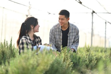 Genç çiftçiler serada yeşil biberiye taraması yapıyorlar. Ekolojik ve organik tarım kavramı.