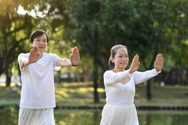 Tai Chi Chuan 'ı yaz parkında pratik yapan mutlu çift. Kıdemli sağlık ve refah konsepti.