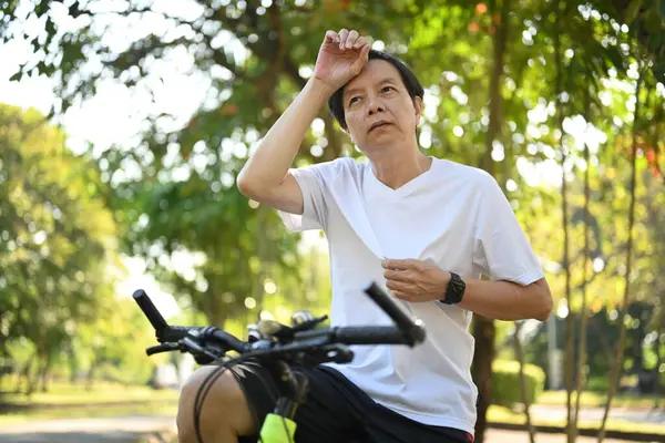 Orta Yaşlı Bir Adam Parkta Bisiklet Sürerken Alnına Ter Siliyor — Stok fotoğraf