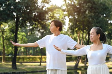 Tai Chi 'yi uygulayan kıdemli insanlar, dikkatli hareket ve dengenin önemini vurguluyorlar..