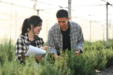 Gülümseyen kadın ve erkek çiftçi seradaki biberiyeyi inceliyor ve panoya tarım verilerini kaydediyor..