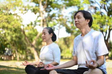 Huzurlu yaşlı bayan ve erkek parkta kapalı gözlerle yoga ve nefes egzersizleri yapıyorlar..
