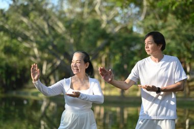 Yaşlı çift parktaki sağlık dersinde Qigong egzersizi yapıyor. Sağlıklı yaşam tarzı kavramı