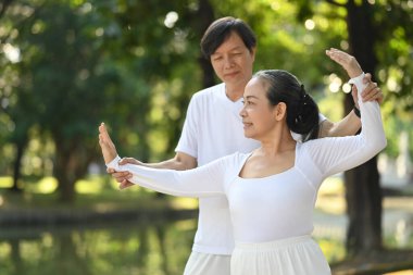 Parktaki Tai Chi dersi sırasında orta yaşlı aktif bir çift duruşunu deniyor. Sağlık ve Sağlık Konsepti